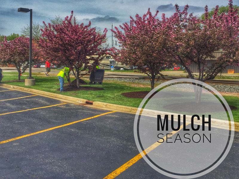 Mulch Installation