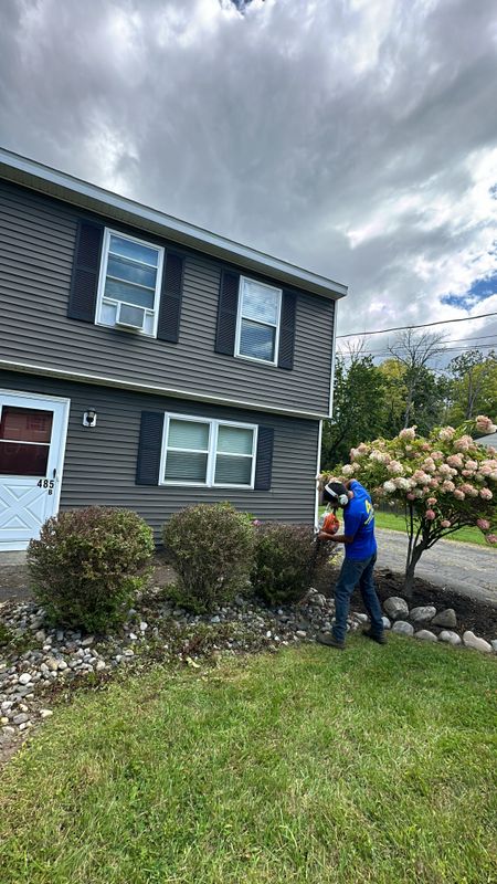 Shrub Trimming