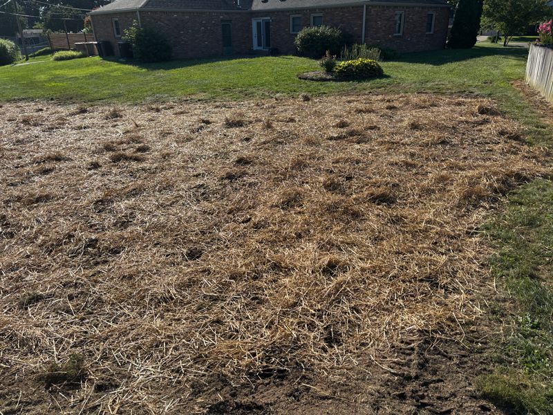 Stump Removal