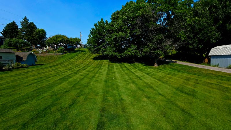 Landscape Installation