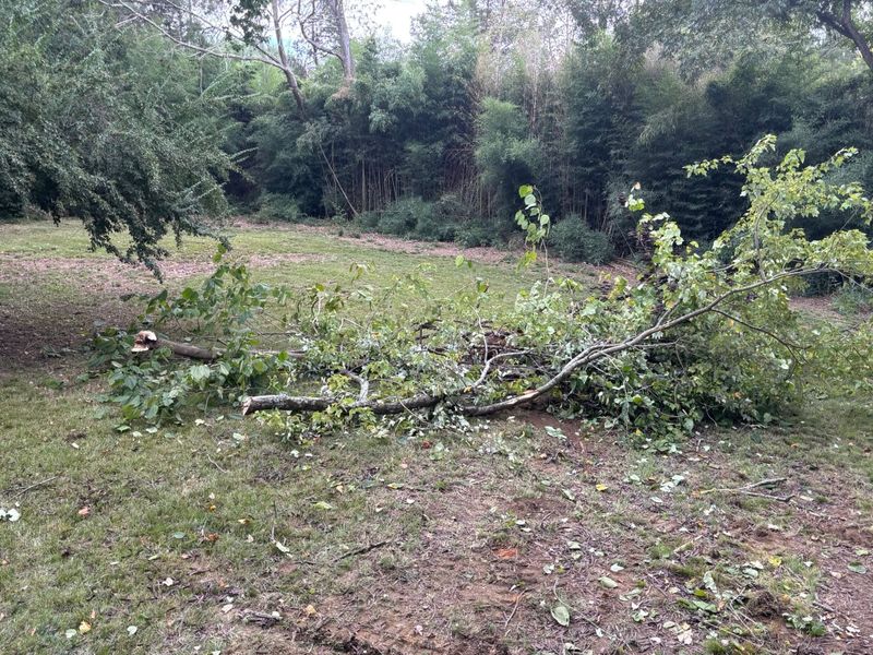 Site Preparation