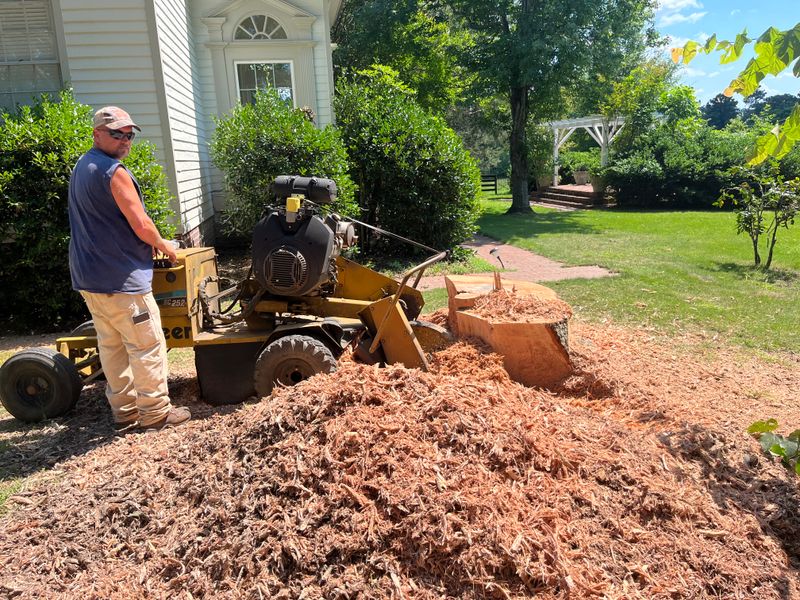 Land Clearing