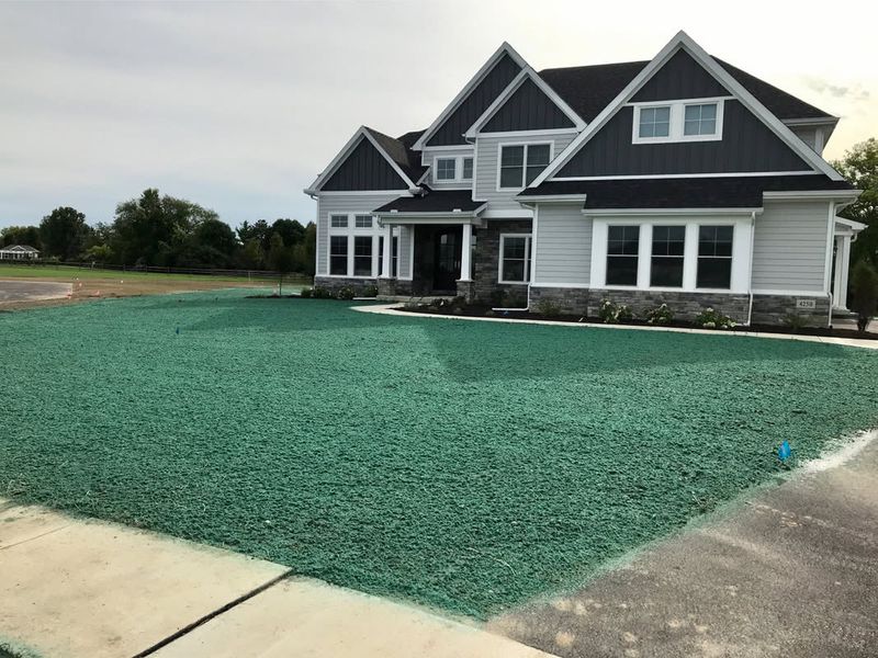 Hydroseeding