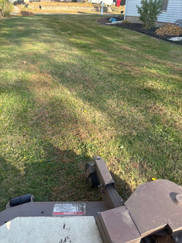 Lawn Rolling