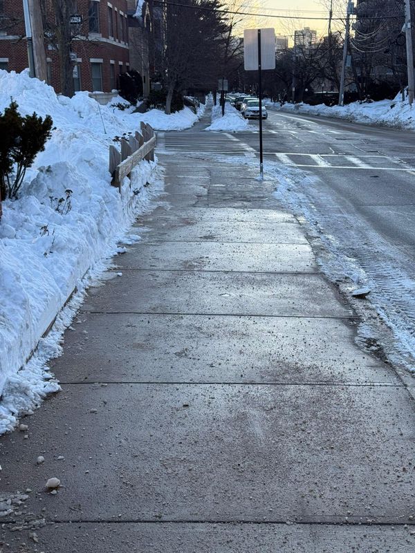 Residential Snow Plowing