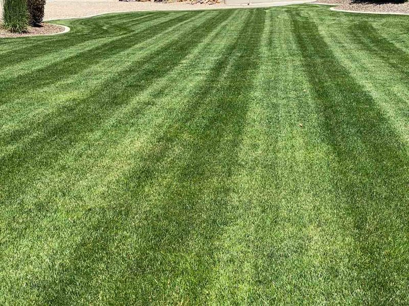 Lawn Mowing
