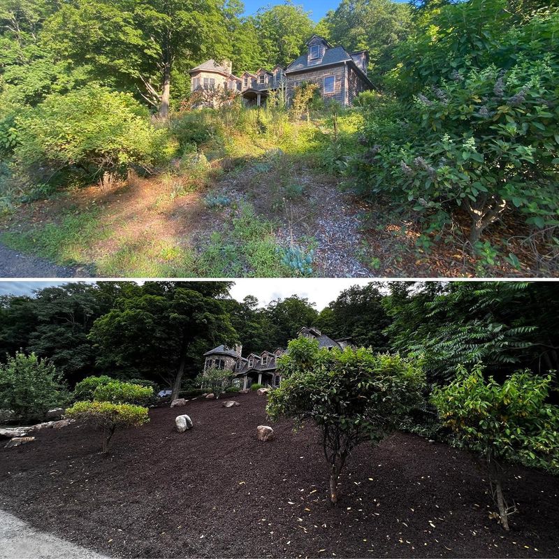 Landscaping