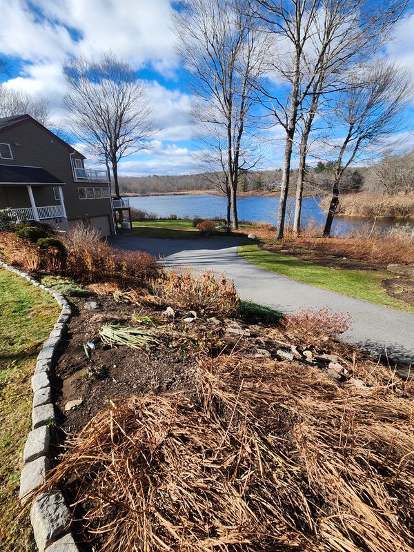 Shrub Trimming