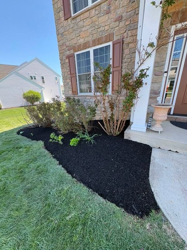 Landscape Design