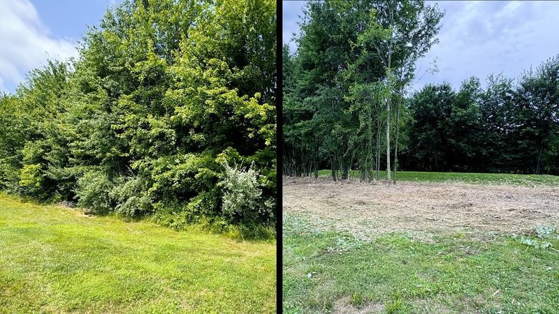 Landscaping Services