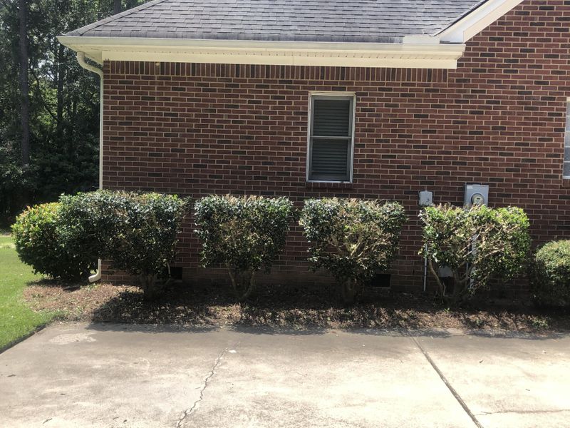 Shrub Trimming