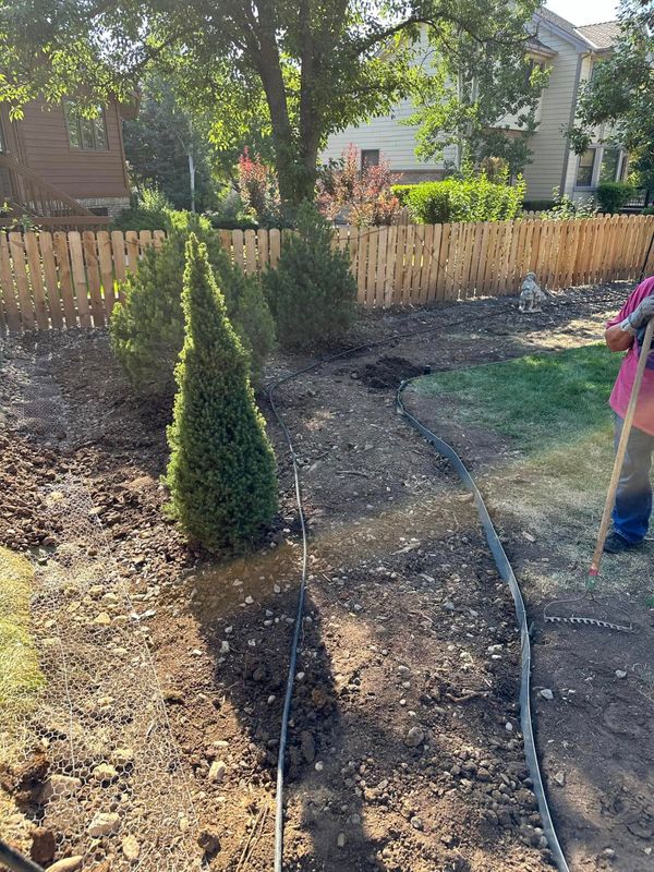 Garden Designs