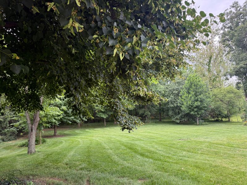 Mowing