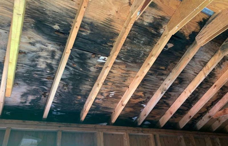 Roofing Installation