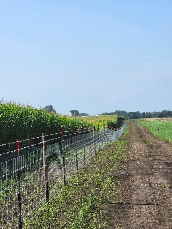Fence Installation