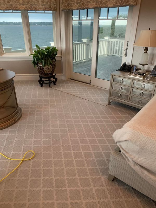Upholstery Cleaning