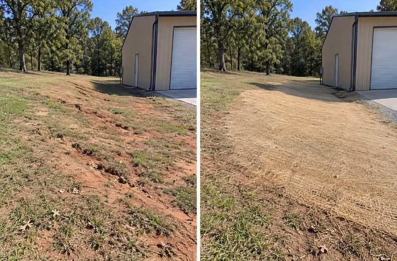 Driveways & Access