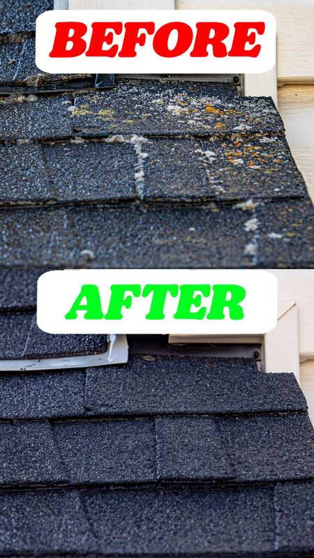 Roof Cleaning