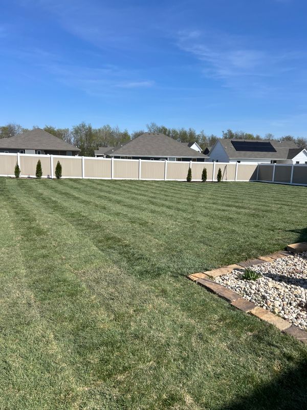 Arborvitae Privacy Fencing