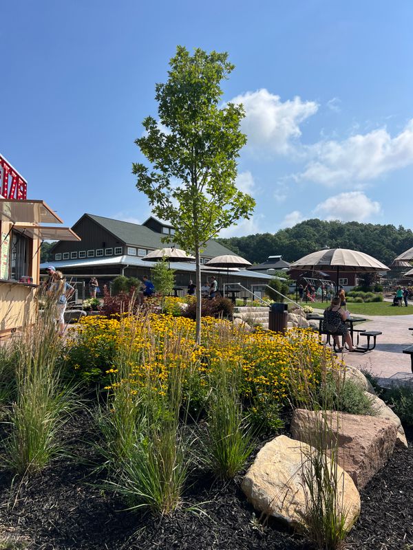 Landscaping