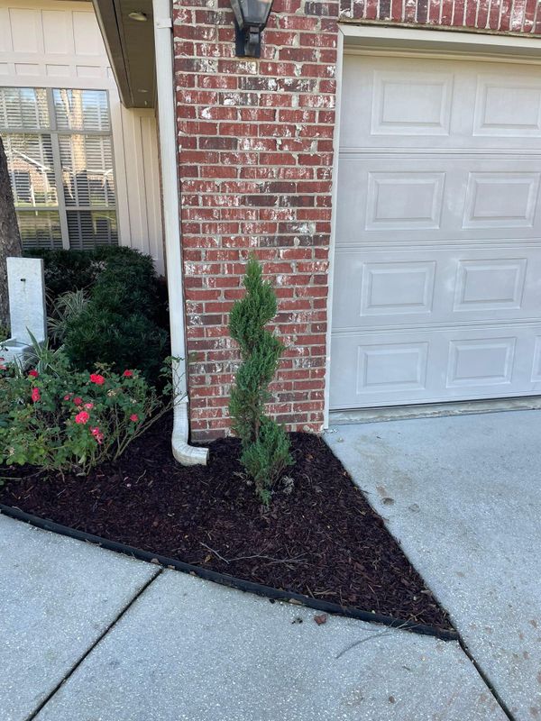 Landscape Design & Planting