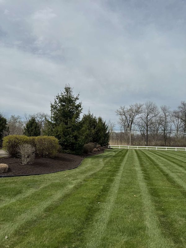 Landscaping