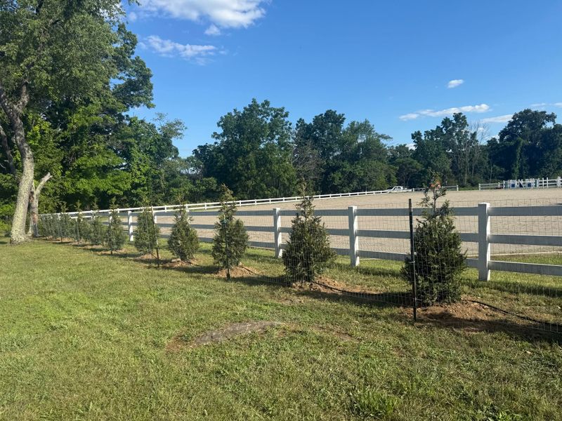 Landscaping