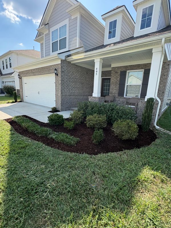 Shrub Trimming