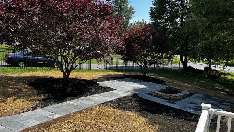 Tree & Shrub Care