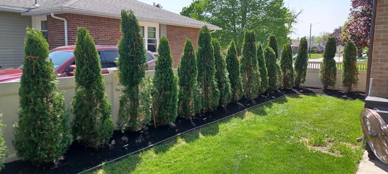Shrub & Plant Installation Photos