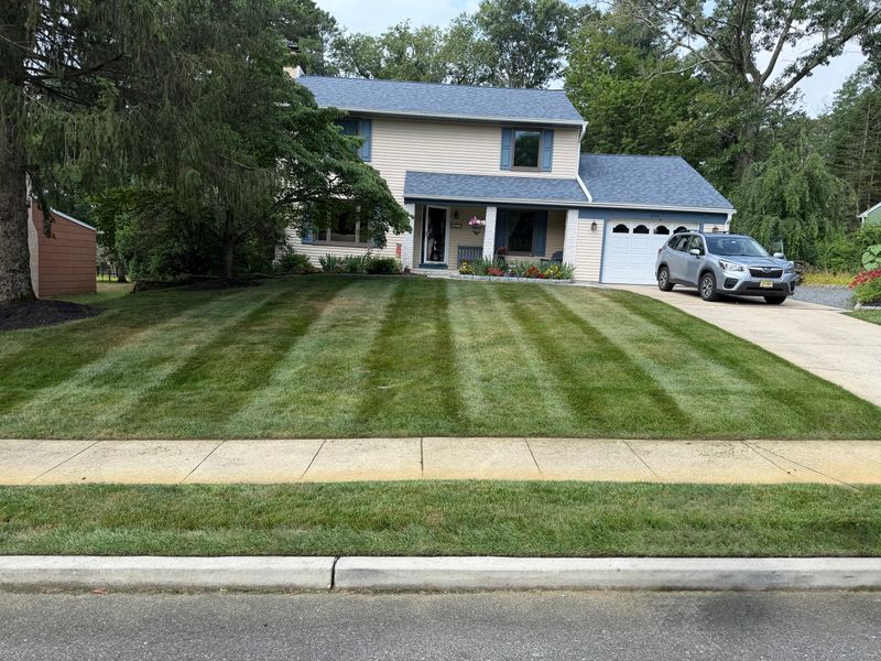 Lawn Maintenance
