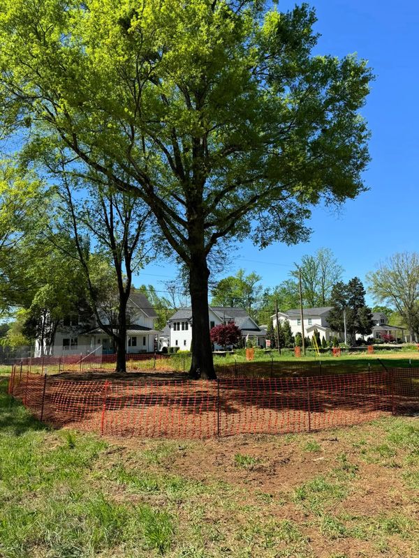 Landscaping