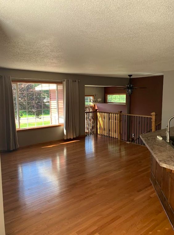 Kitchen Renovation