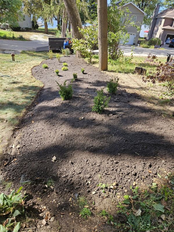 Seasonal Clean-ups