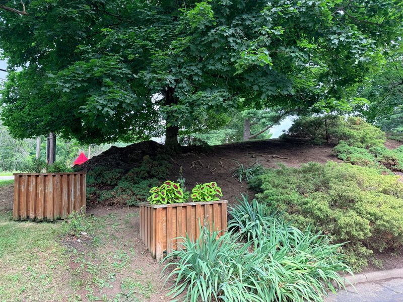 Landscaping