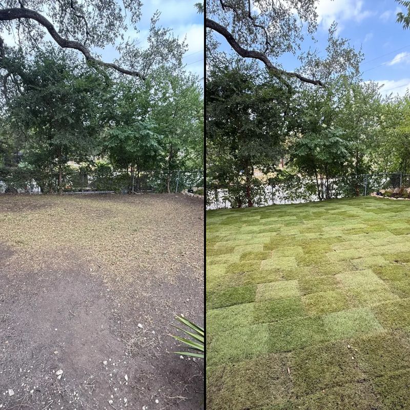 Sod Installation