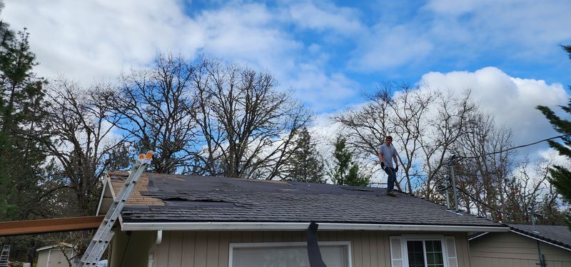 Shingle Roofing