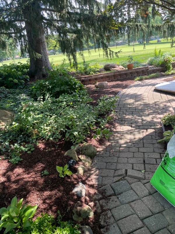 Lawn Maintenance