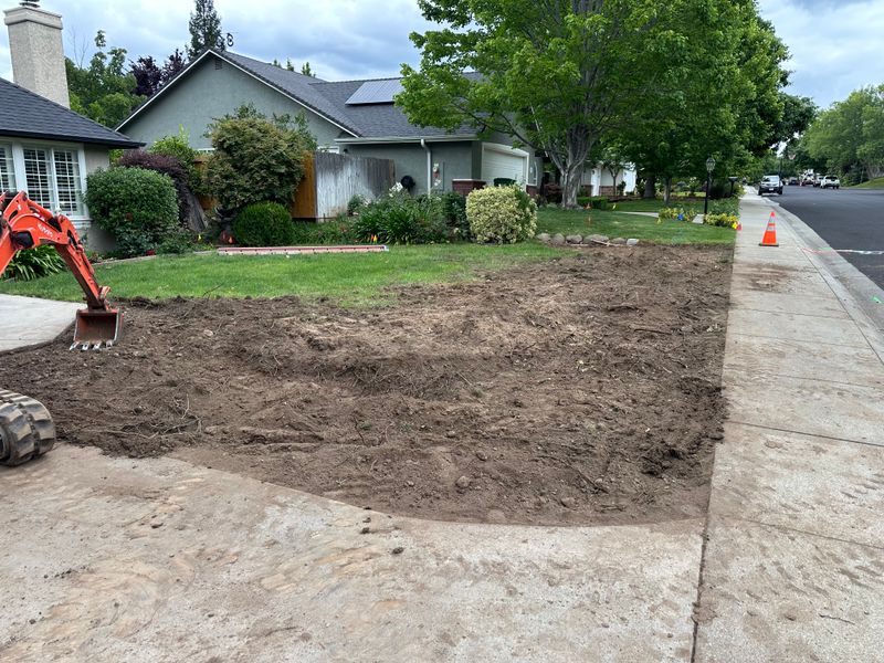 Landscape Design