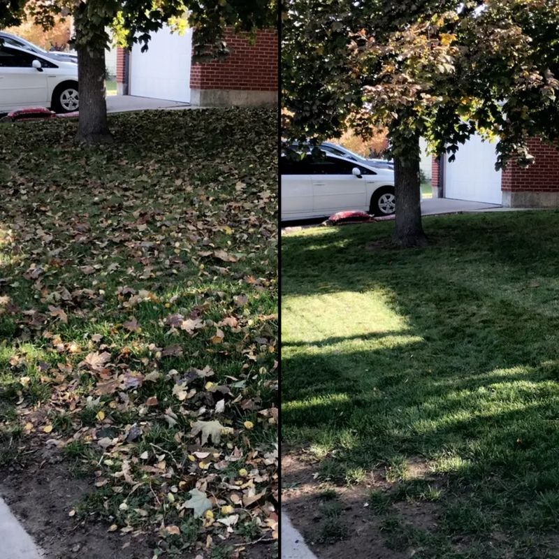Trimming