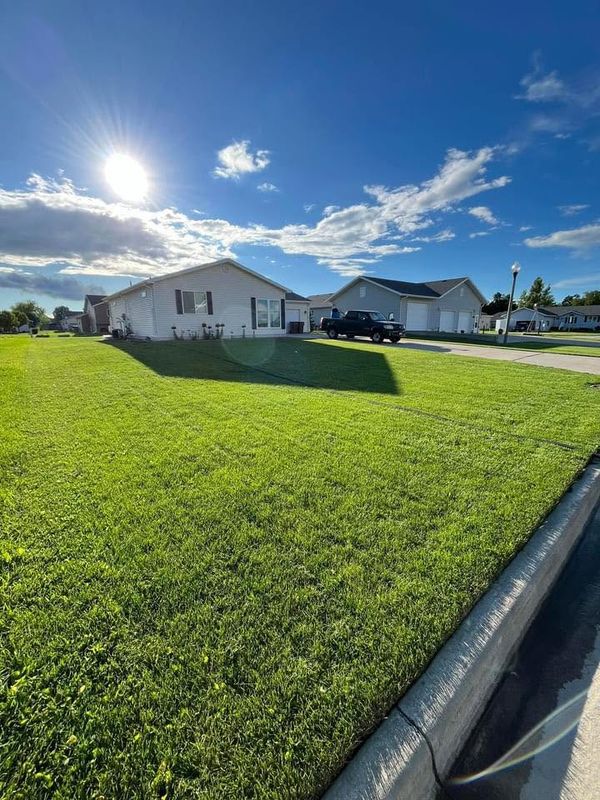 Lawn Maintenance
