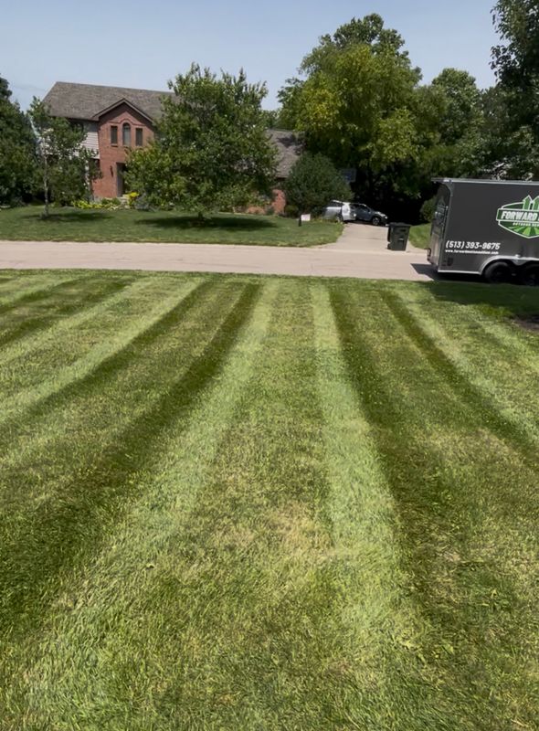 Commercial Lawn Care & Landscaping
