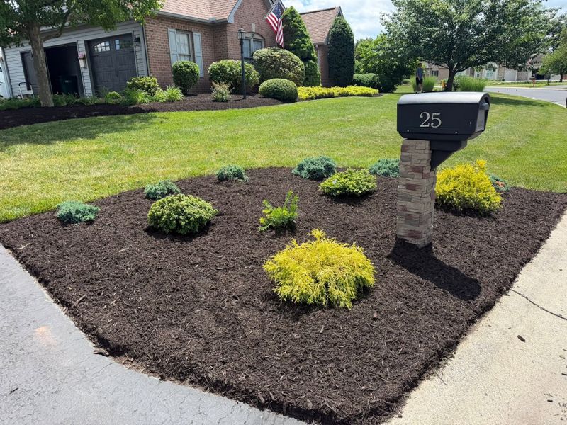 Landscape Design