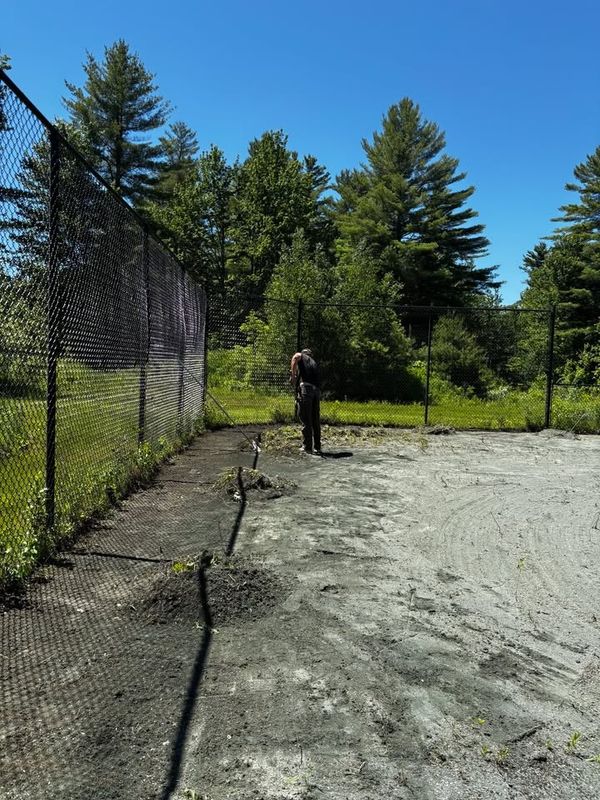 Weed Removal
