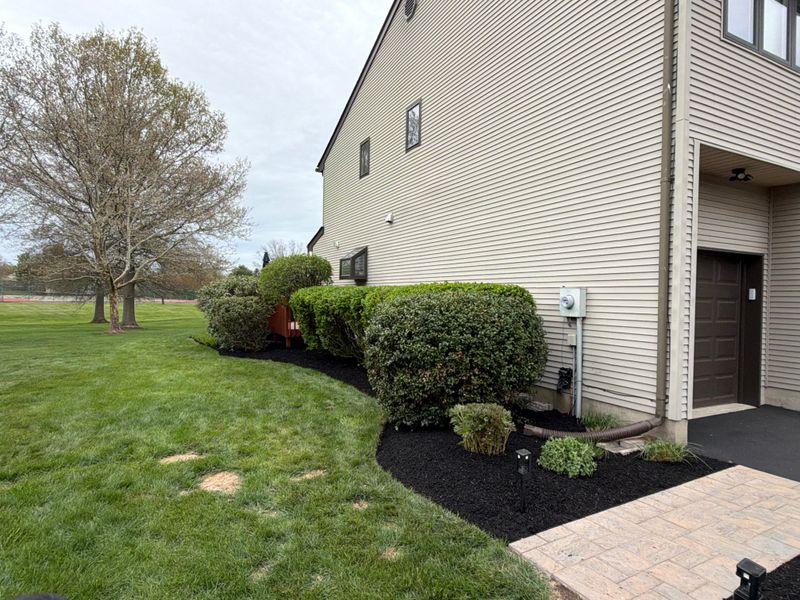 Hedge Trimming & Topiary
