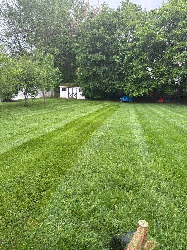 Lawn Maintenance