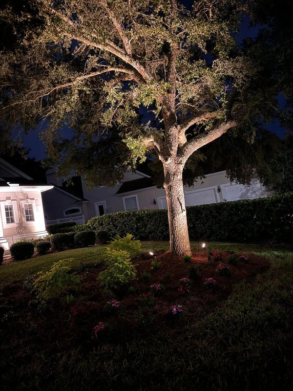 Outdoor Lighting 