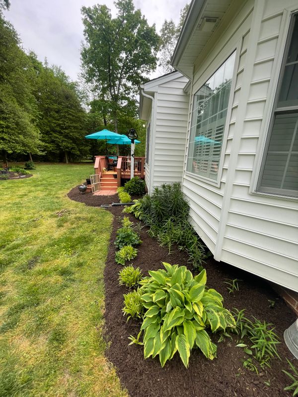 Plant & Shrub Installations