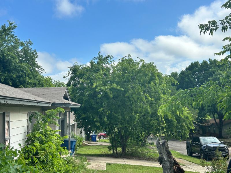 Shrubbery trimming and removal