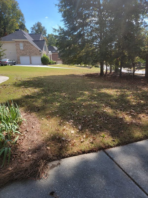 Landscaping